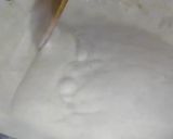 A picture of step 10 of White Sauce Pasta.