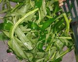Foto langkah ke 2 dari resep Tumis Kangkung Tauge.