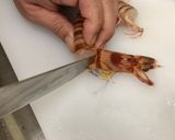 澎湖野生明蝦刺身的食譜步驟3照片