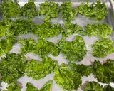 Foto langkah ke 4 dari resep Kale crispy 🥬 (kerupuk hijau).