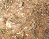 A picture of step 3 of Kachy qeemay k seekh kabab😋.