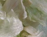 Foto del paso 2 de la receta: Ensalada SUGU