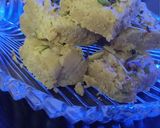 A picture of step 1 of Shahi Mysore pak.