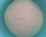 Foto langkah ke 7 dari resep Roti tanpa ulen (no knead bread).