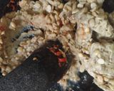 Foto langkah ke 4 dari resep 619. Nasi Pecel Sambal Tumpang Khas Solo.