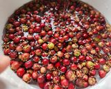 Foto del paso 3 de la receta: Kuchen sureño de Murta o Mutillas