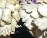 Foto del paso 2 de la receta: Setas con pollo