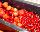 Nyári gyümölcsleves recept főzés nélkül recept fázis 2 fotója