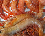 Foto del paso 2 de la receta: Espárragos blancos rellenos con bechamel de gambas