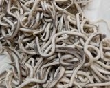 Foto del paso 2 de la receta: Angulas del pobre
