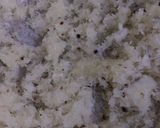 A picture of step 4 of Coconut Beetroot Burfi.