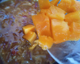A picture of step 10 of Mango soup 🥭.