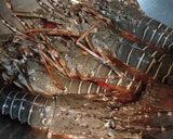 Foto langkah ke 2 dari resep Lobster Saus Padang.