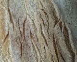 Foto del passaggio 5 della ricetta Pizza tipo Napoletana, pane casereccio con biga