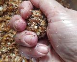 A picture of step 2 of Immunity builder balls.