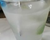 Foto del paso 2 de la receta: Vodka tonic 🍹