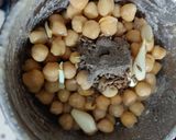 A picture of step 1 of Chickpea Hummus.