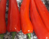 આથેલા લાલ મરચાં (Athela Red Marcha Recipe In Gujarati) રેસીપી સ્ટેપ1ફોટો