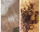 صورة لخطوة 9 من وصفة رز بالباشميل