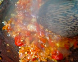 Foto langkah ke 4 dari resep Pecak Ikan Gurame Khas Betawi.