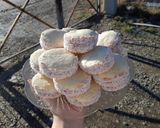 Foto del paso 7 de la receta: Alfajores de maicena medianos
