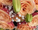 Une image de l'étape 4 de 💝💐Tiramisu fête 🥳 st Valentin 💘.
