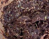 Une image de l'étape 3 de Cake 100% chocolat (et courgette).