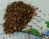 A picture of step 2 of Bhoni masala Kaleeji.