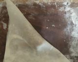 A picture of step 5 of Wonton.