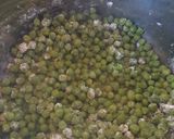 Zöldborsófőzelék glutén és laktózmentesen recept fázis 2 fotója