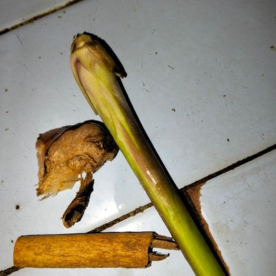Langkah 2