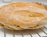Foto del paso 7 de la receta: Pan casero trigo ecológico