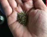 Foto del paso 1 de la receta: Tapenade verde a mi manera