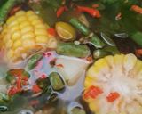 Foto langkah ke 3 dari resep Sayur Asem Pepaya Muda, Labu Siam & Buah Asam.