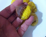 Foto del paso 4 de la receta: Crema de castañas asadas y glaseadas con frutos secos