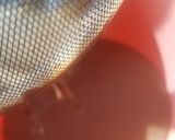 صورة لخطوة 3 من وصفة كريب الخاص ناجح 100%