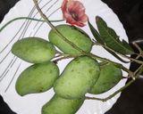 আম তেল আচার (Aam tel achaar recipe in Bengali) রেসিপির ধাপ 1 ছবি