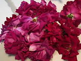 રોઝ ટી(rose tea recipe in Gujarati)