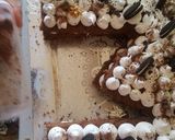 صورة لخطوة 4 من وصفة كيكة الحروف