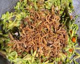 Foto langkah ke 5 dari resep Teri Bunga Pepaya.