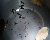 Pas rețetă Castraveciori marinați cu ceapă 1 fotografie
