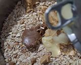 A picture of step 7 of Sesame Energy Balls.