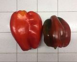 Foto del passaggio 1 della ricetta Peperoni arrostiti in microonde e in airfryer