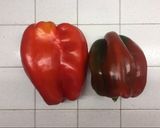 Foto del passaggio 1 della ricetta Peperoni arrostiti in microonde e in airfryer
