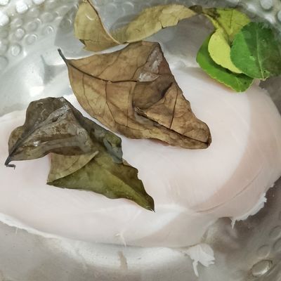 Langkah 1
