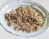 A picture of step 5 of Summer Salad – Wild rice with veggies, nuts, and cranberries.