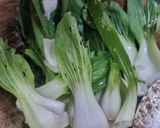 Foto langkah ke 3 dari resep 230. Tumis Pakcoy Kecambah.