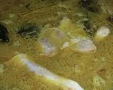 Foto langkah ke 11 dari resep Opor Ayam warisan mama.
