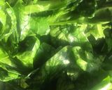 Foto del paso 1 de la receta: TARTA DE ESPINACAS 🥬 Y RICOTA 🍚 (con masa casera)🥮😉😋❤️