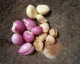 Foto langkah ke 2 dari resep Gudeg Nangka Muda (Berkuah).